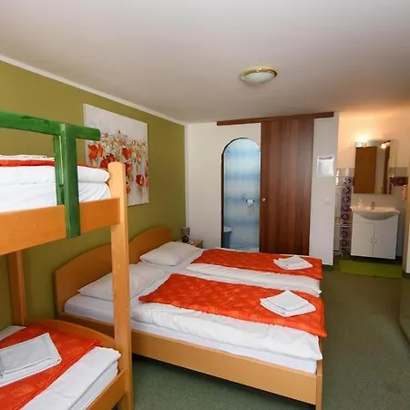 Vila Bistrica B&B *