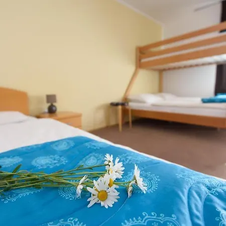 Vila Bistrica Bed & Breakfast