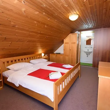 Bed & Breakfast Vila Bistrica *