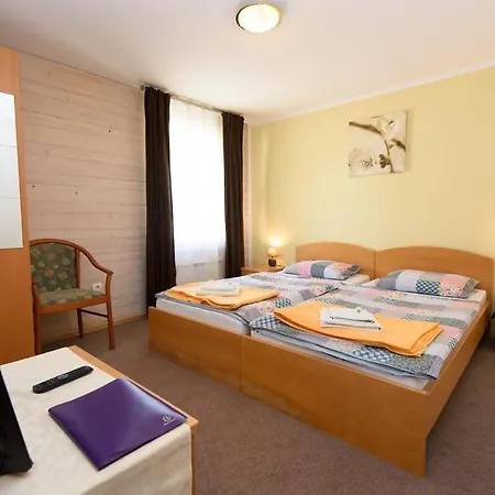 Vila Bistrica B&B