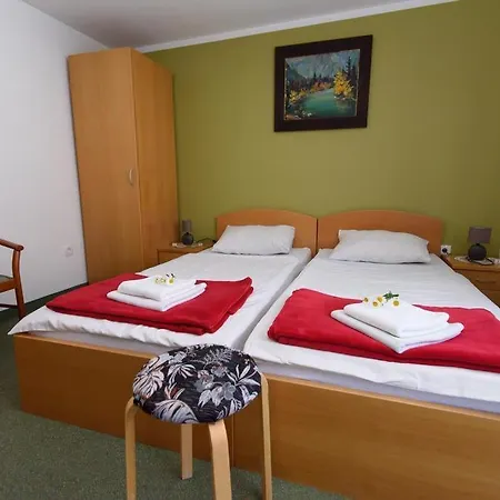 Vila Bistrica *