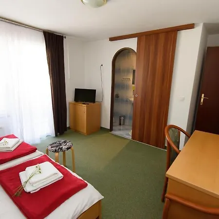 Bed & Breakfast Vila Bistrica