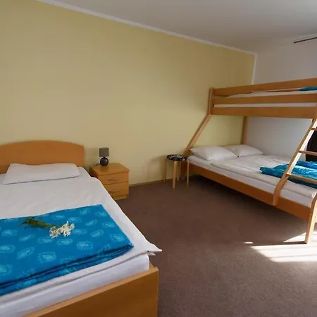 Vila Bistrica *